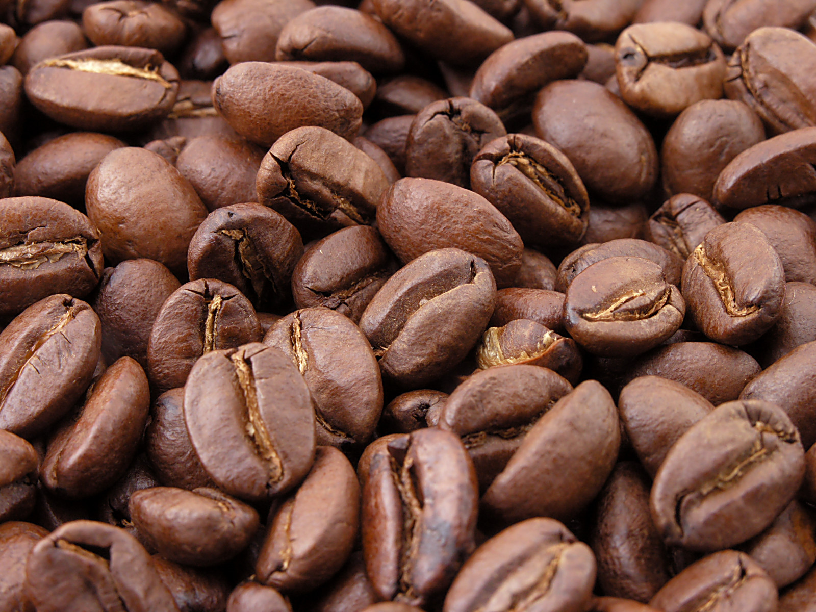 hạt cà phê tiêu chuẩn