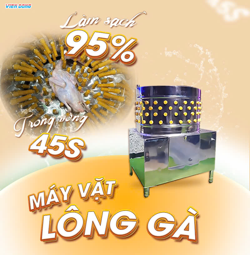 Máy làm lông gà VD80