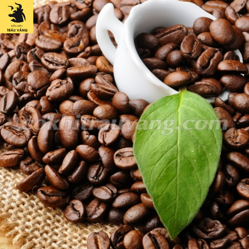5 tiêu chuẩn phổ biến trong hợp đồng cà phê xuất khẩu