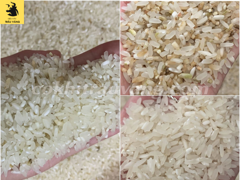 Ứng dụng máy móc hiện đại trong quy trình sản xuất gạo Máy chế biến thực  phẩm – Cơ Khí Viễn Đông