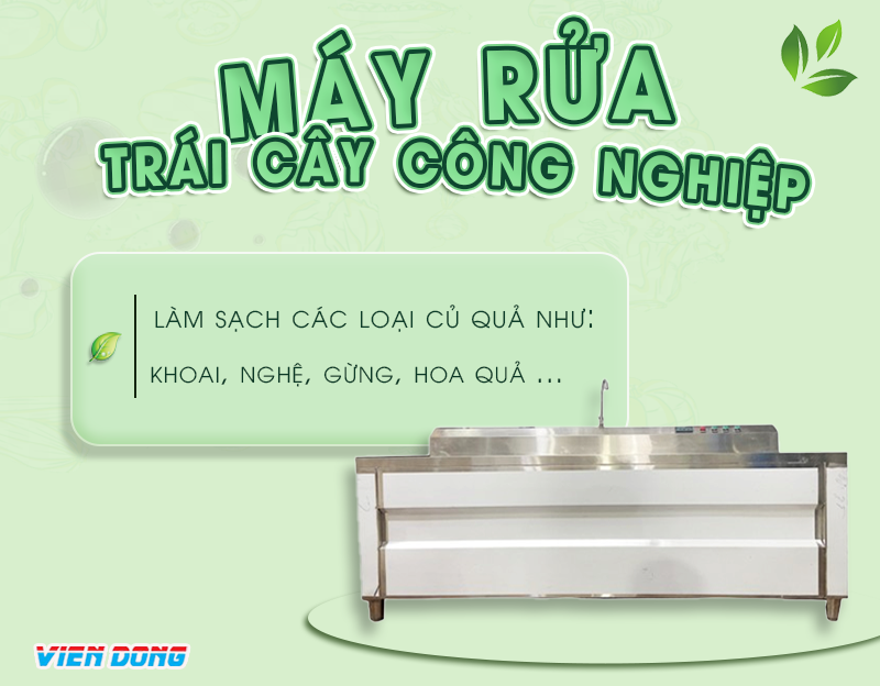 Máy rửa trái cây công nghiệp