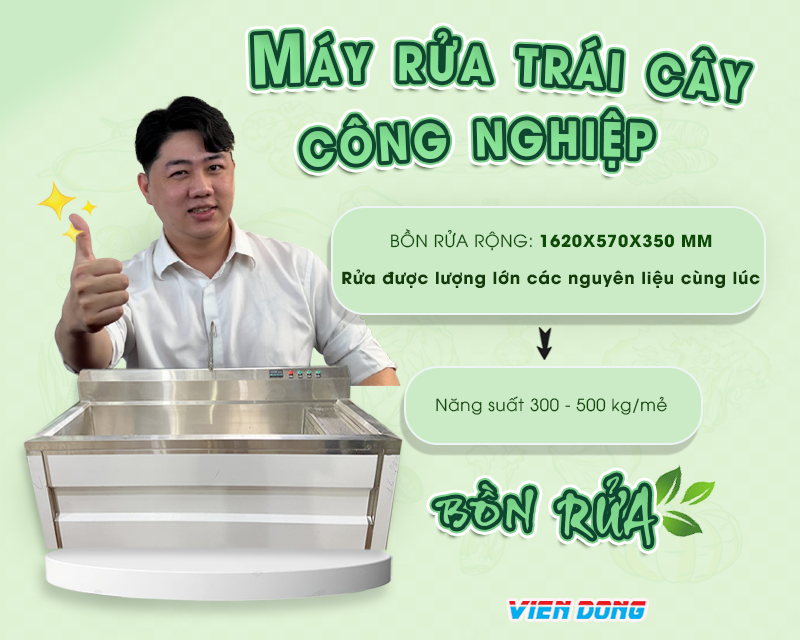 Máy rửa trái cây công nghiệp