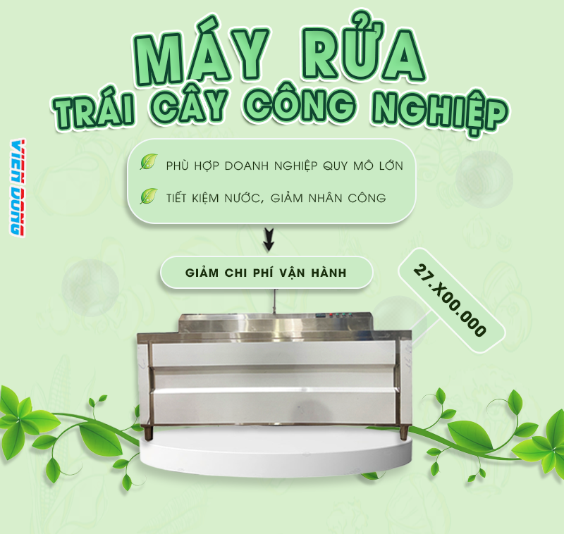 Máy rửa trái cây công nghiệp