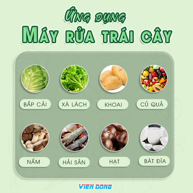Máy rửa trái cây công nghiệp
