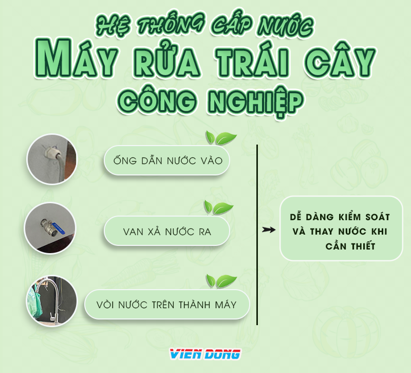 Máy rửa trái cây công nghiệp