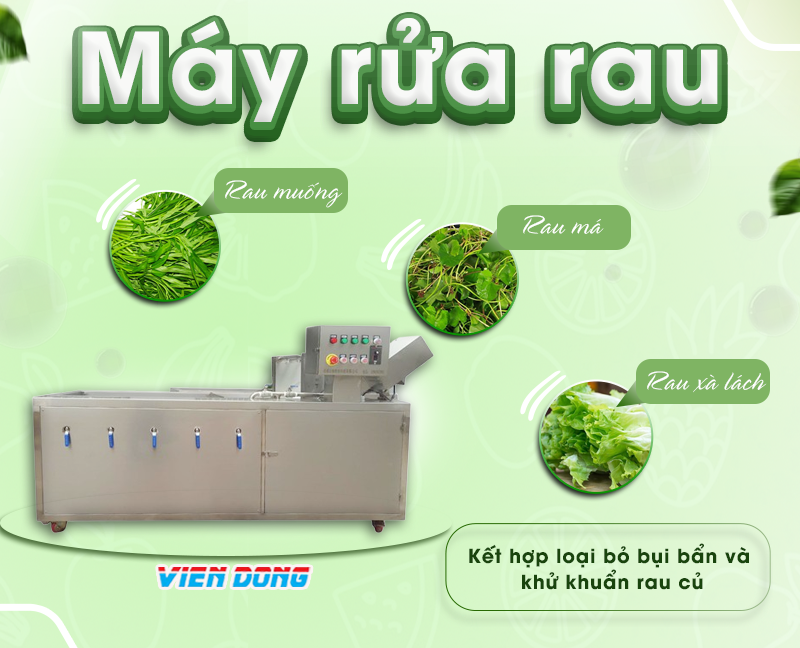 máy rửa rau củ quả công nghiệp