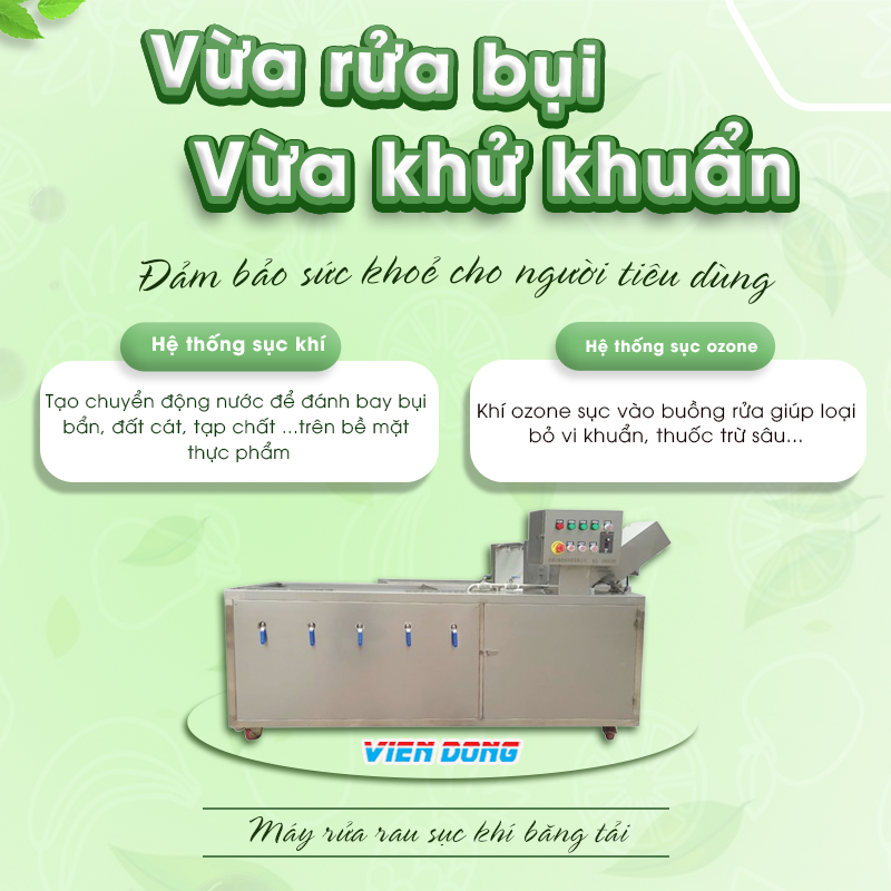 máy rửa rau củ quả công nghiệp