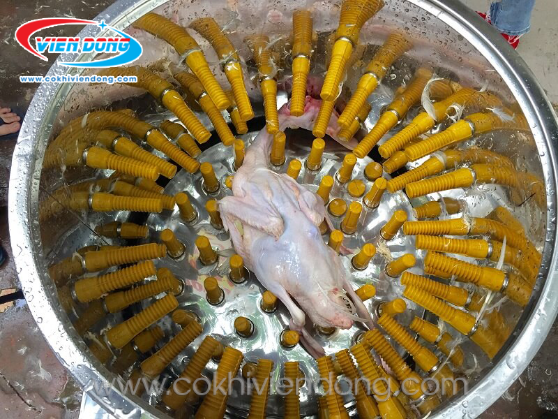 máy vặt lông gà vịt