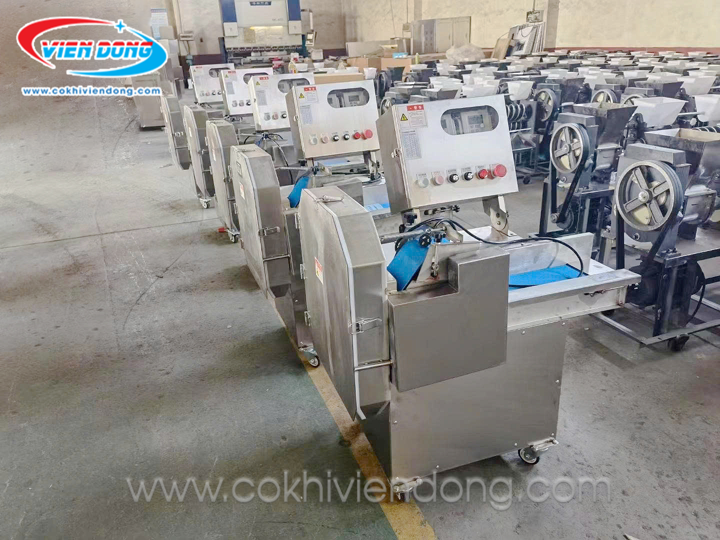 Máy thái rau củ quả CHD80